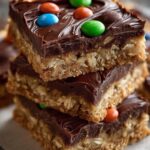 Chocolate Fudge Oatmeal Bars